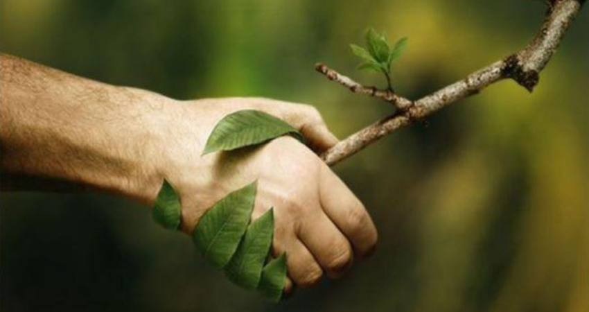 آسیبهای گردشگری به طبیعت و راهکارهای جلوگیری از آن آسیبهای گردشگری به طبیعت و راهکارهای جلوگیری از آن